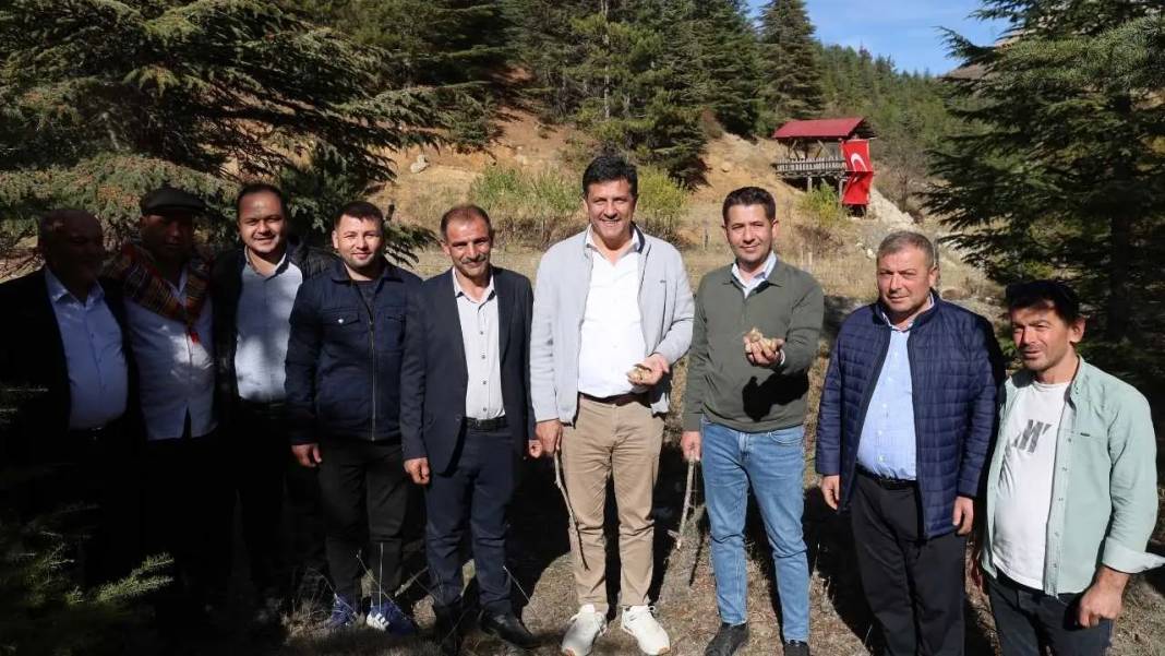 Toroslar’ın Beyaz Altını Japonya Yolcusu: Fiyatı Dudak Uçuklattı! 3